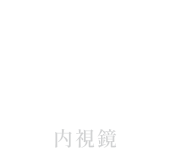 内視鏡イメージ